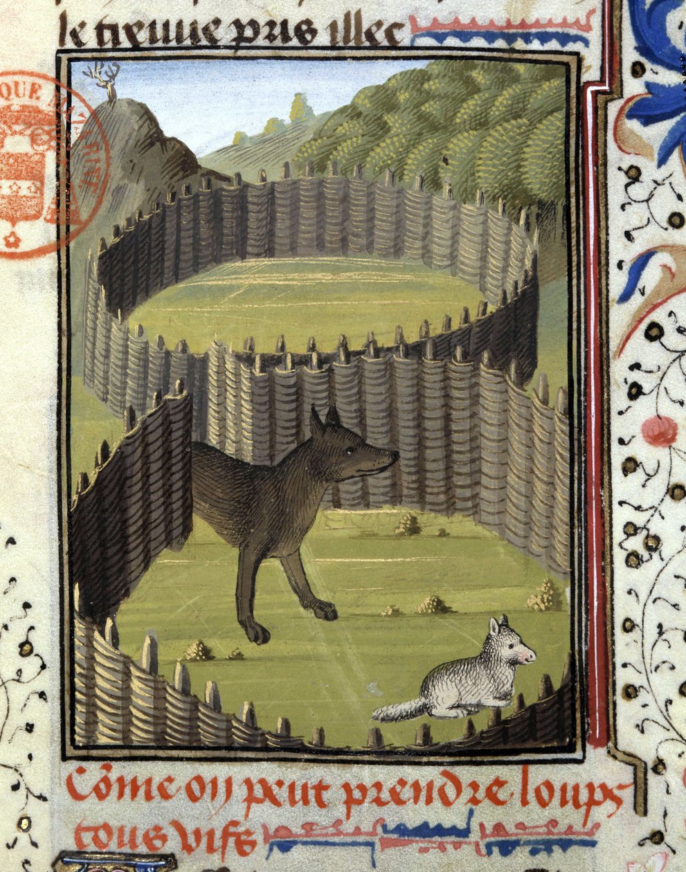 Piege a wolf - no "Livro de Caça de Gaston Phoebus, Conde de Foix, Senhor de Béarn". de French School