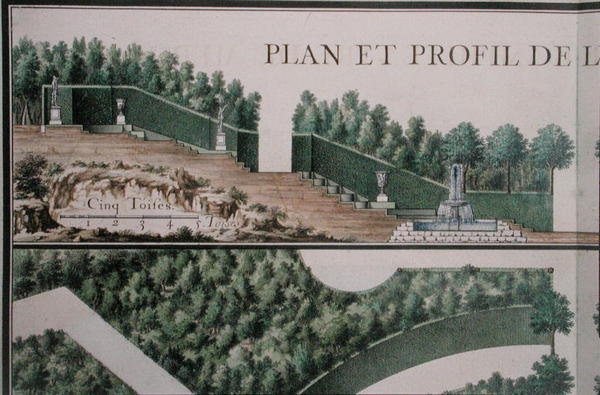 Plano e secção transversal do bosque, de 