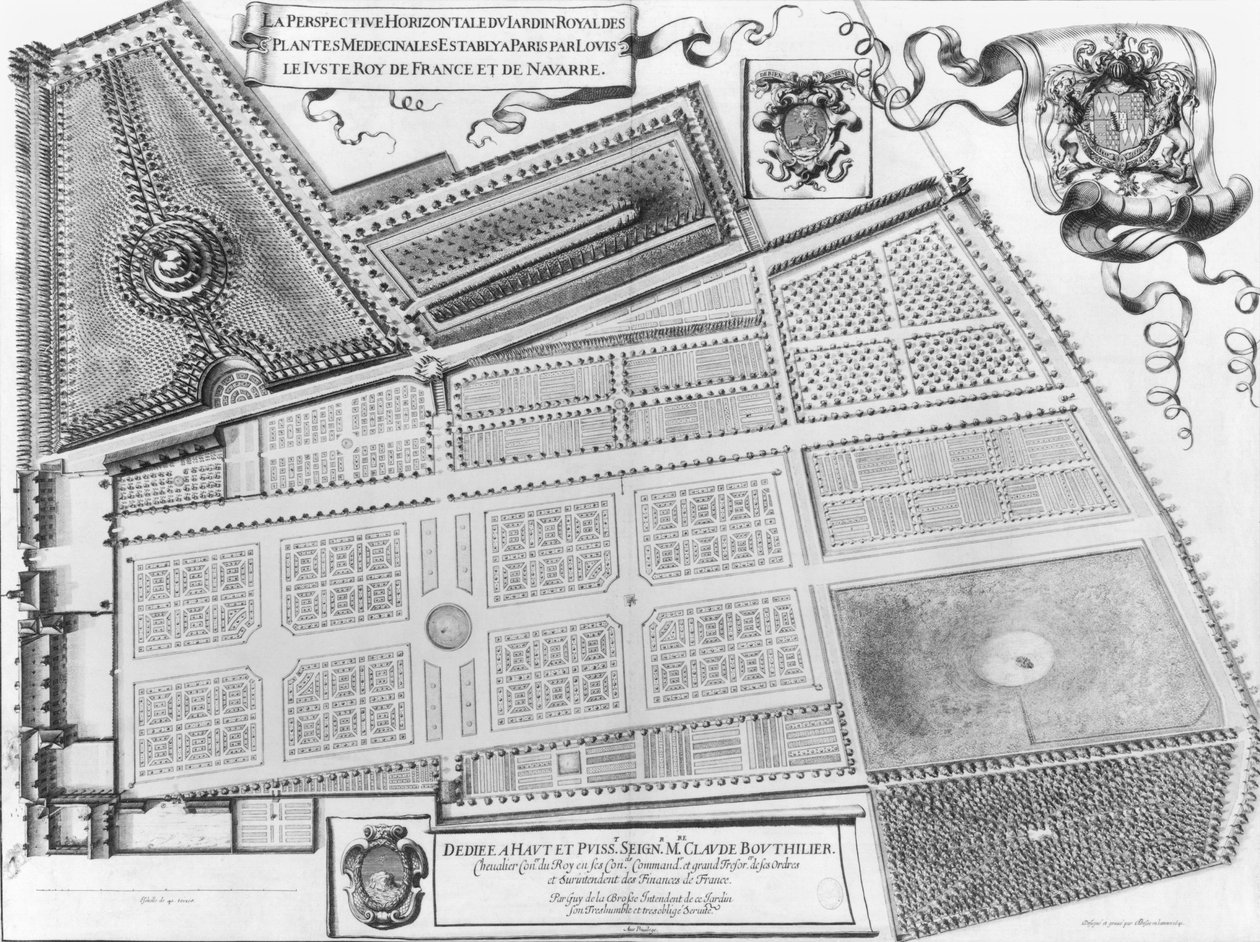 Planta do Jardim Real das Plantas Medicinais, em Paris, 1641 de French School
