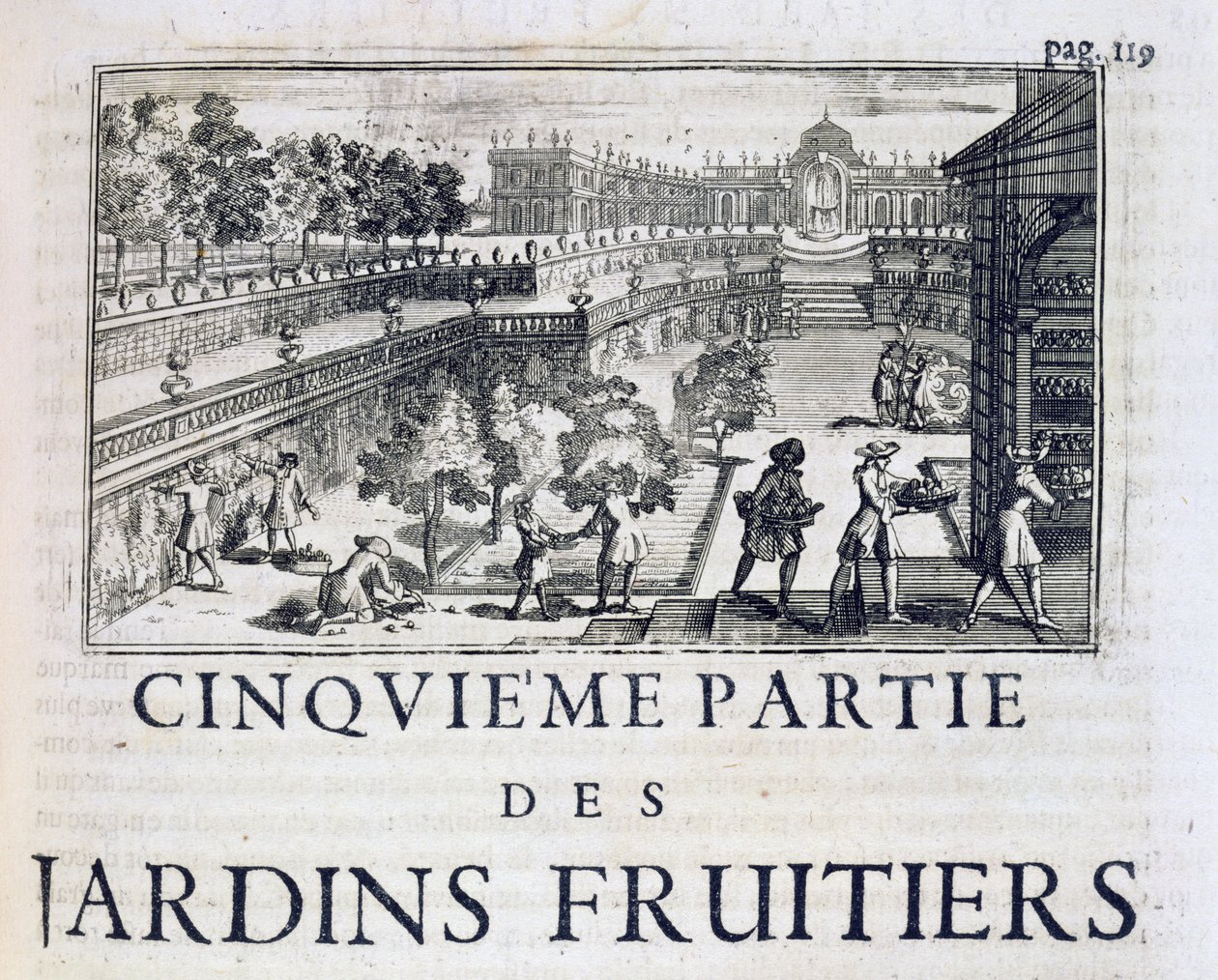 Plantar árvores frutíferas, de The Perfect Gardener, ou Instruction for Fruit Gardens and Vegetable Garden, de Jean de la Quintinye, publicado em 1695 de French School