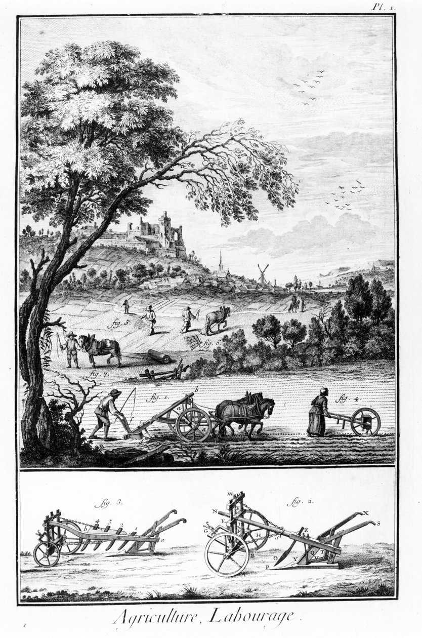 Placa da Enciclopédia de Diderot e Alembert: Agricultura e Lavoura. Século XVIII. de French School