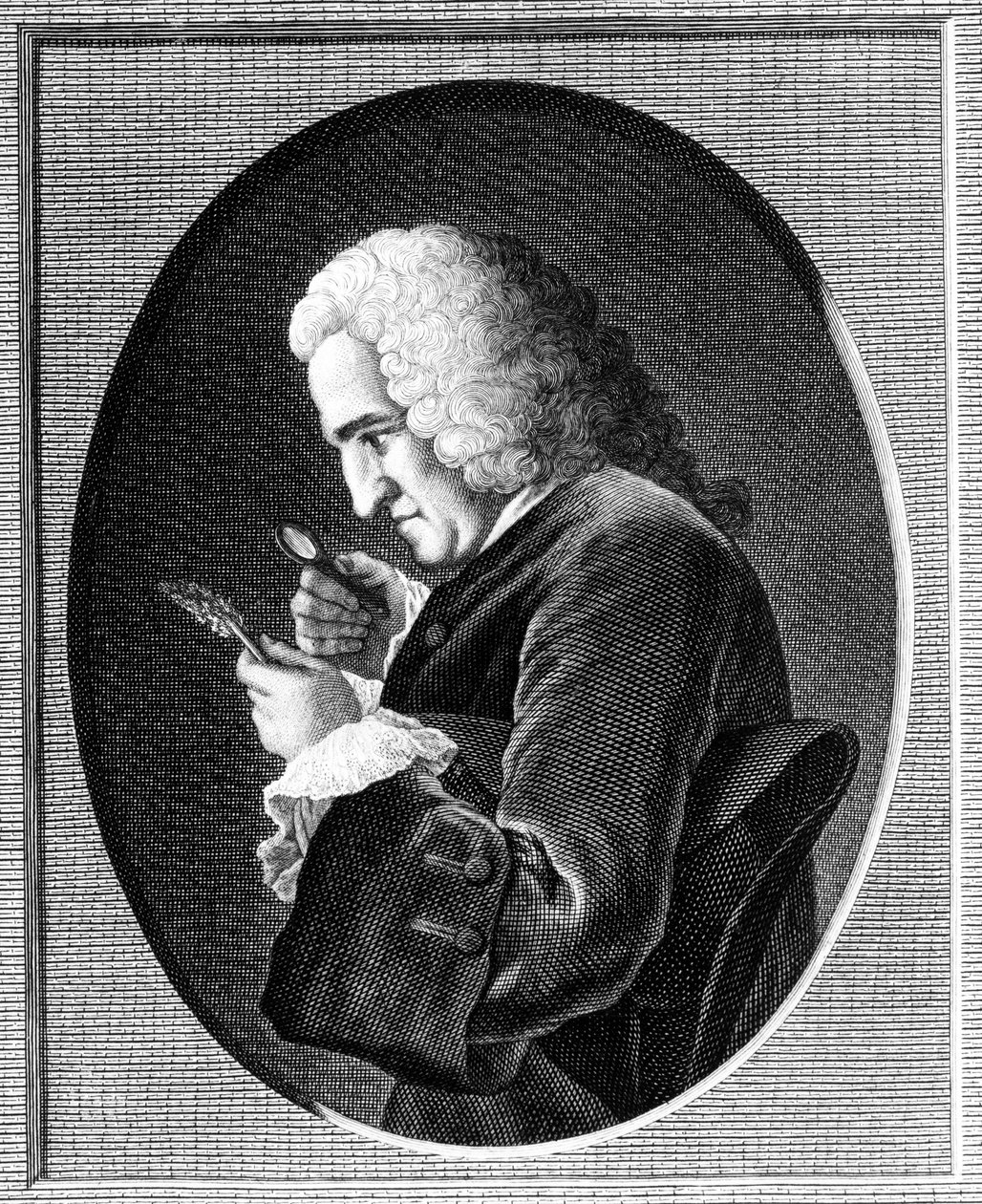Retrato de Bernard de Jussieu (1699-1777) de French School