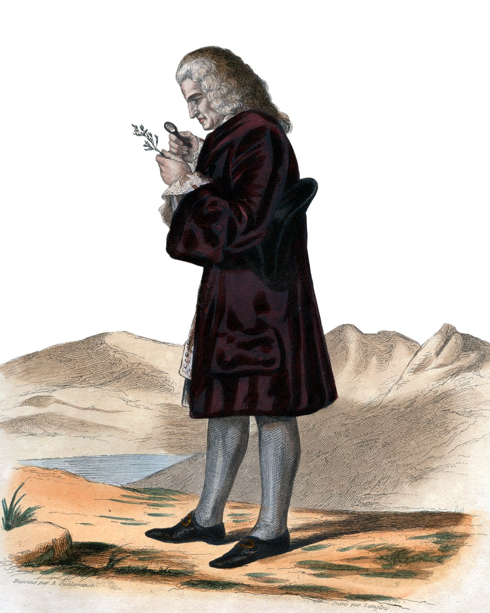 Retrato de Bernard de Jussieu (1699-1777), naturalista francês. de French School