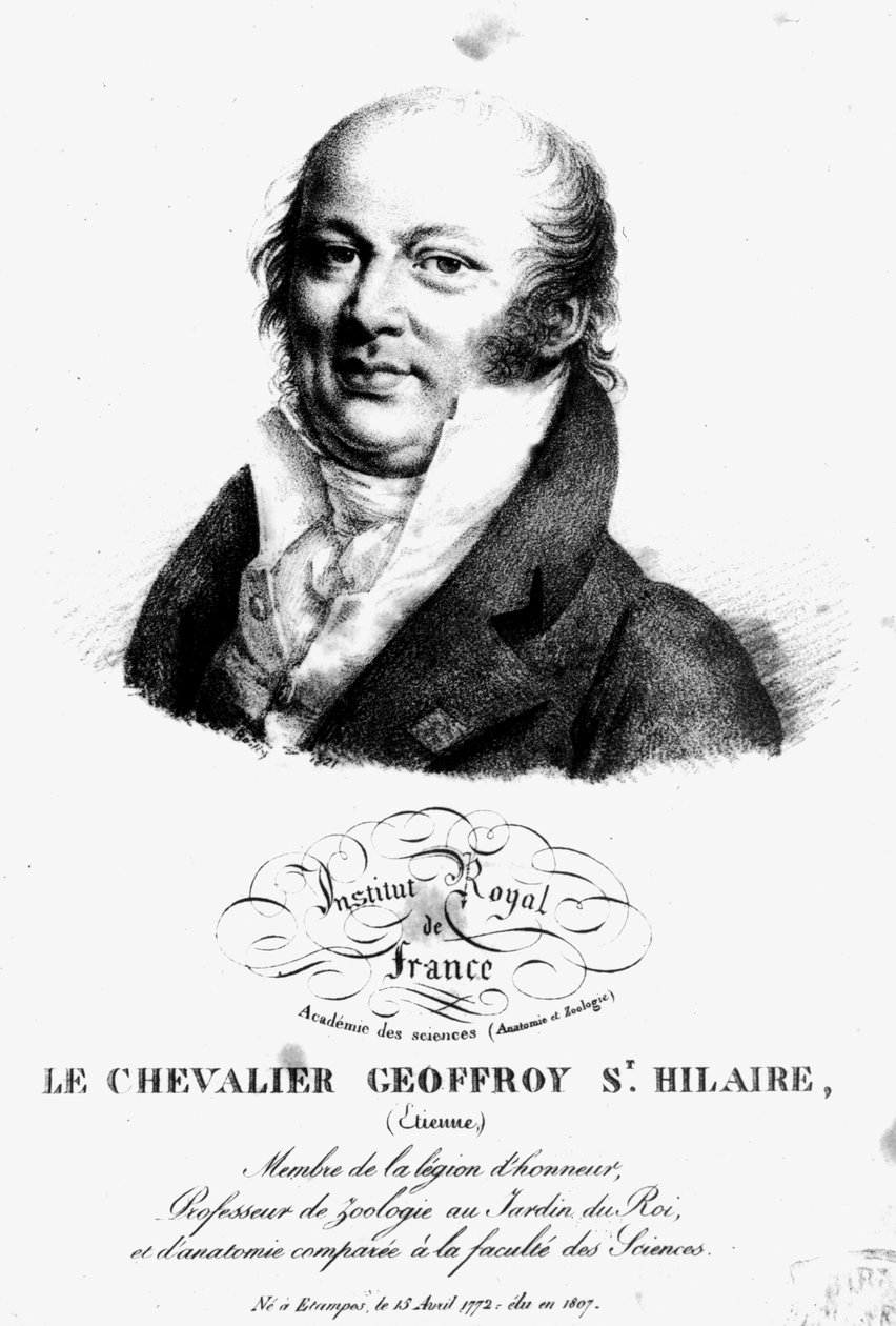 Retrato de Stephen Geoffroy Saint-Hilaire (1722-1844) de French School