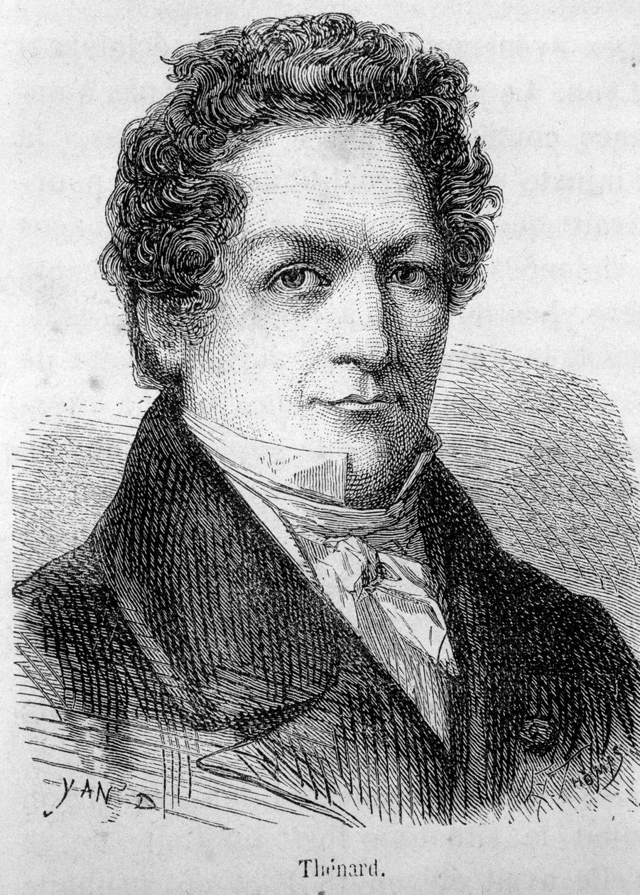 Retrato de Louis Jacques Thenard (1777-1857), químico francês. de French School