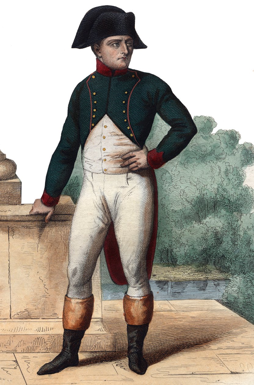 Retrato de Napoleão Bonaparte (1768-1821) como Primeiro Cônsul. de French School