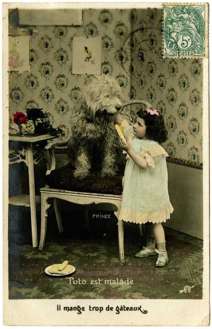 Cartão postal: Toto está doente, ele está comendo bolo demais, Príncipe (papel impresso) de French School