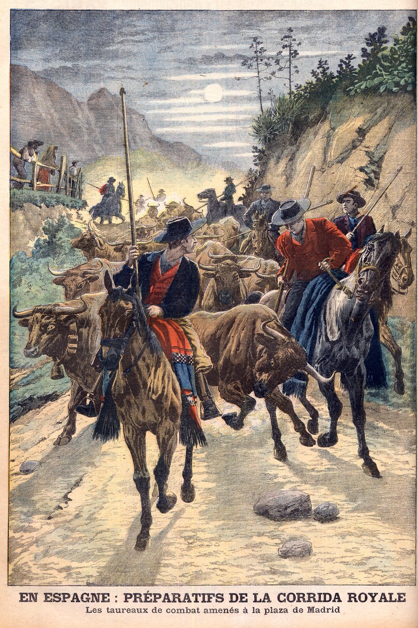 Preparativos para as touradas para celebrar o casamento do rei Alfonso XIII de Espanha. Os touros são levados para Madrid. Em Espanha, os preparativos para as touradas reais. Os touros de combate trazidos para a Plaza de Madrid. Ilustração para o Jornal Le de French School
