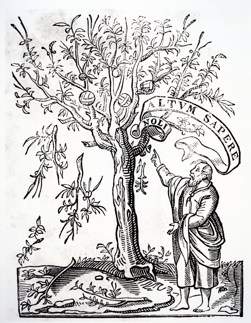 Emblema de impressoras de Robert Estienne, Paris, 1526 de French School