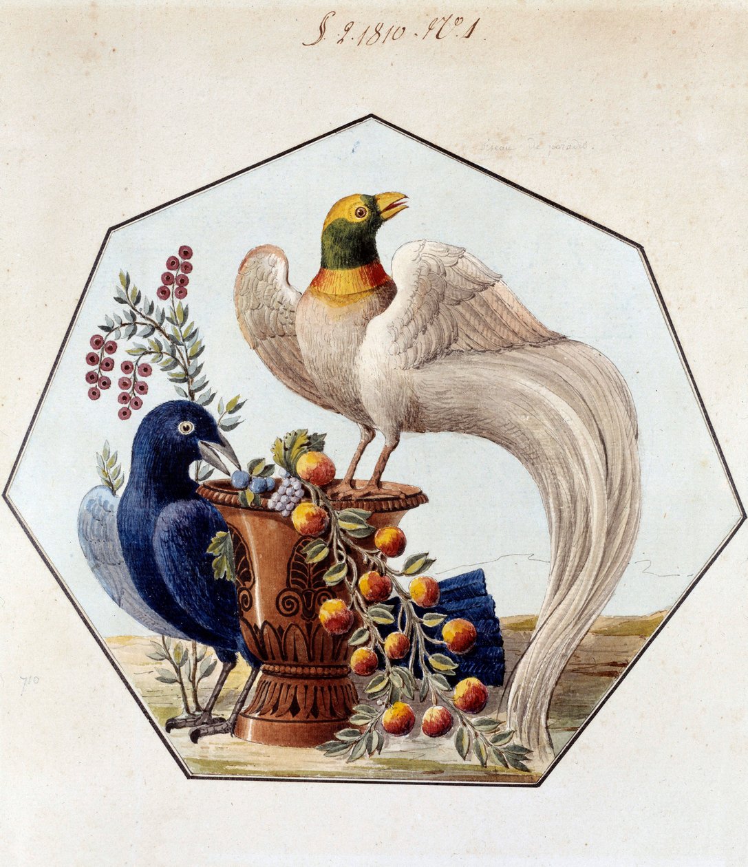 Projeto para a mesa das aves em porcelana de Alexandre Brongniart (1770-1847). 1810 Sevres, arquivo da Manufatura de Sevres de French School