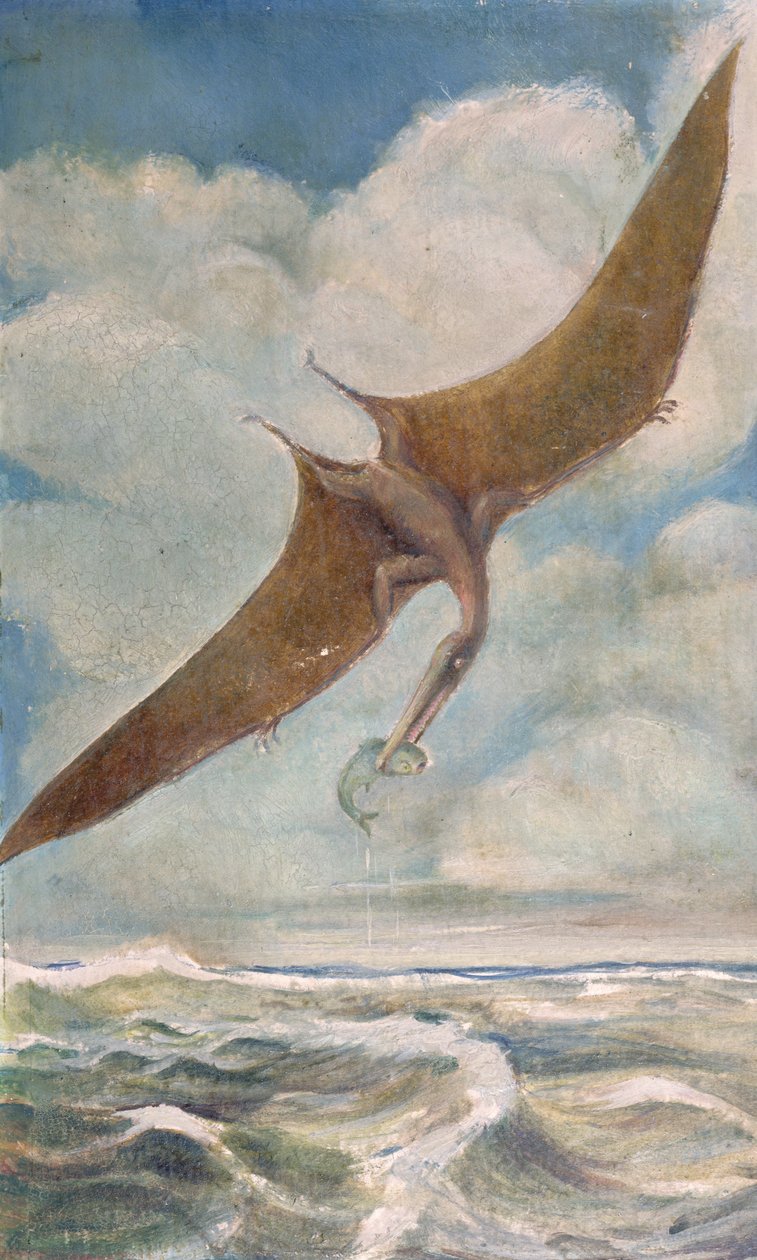 Pesca de pterodáctilo de French School