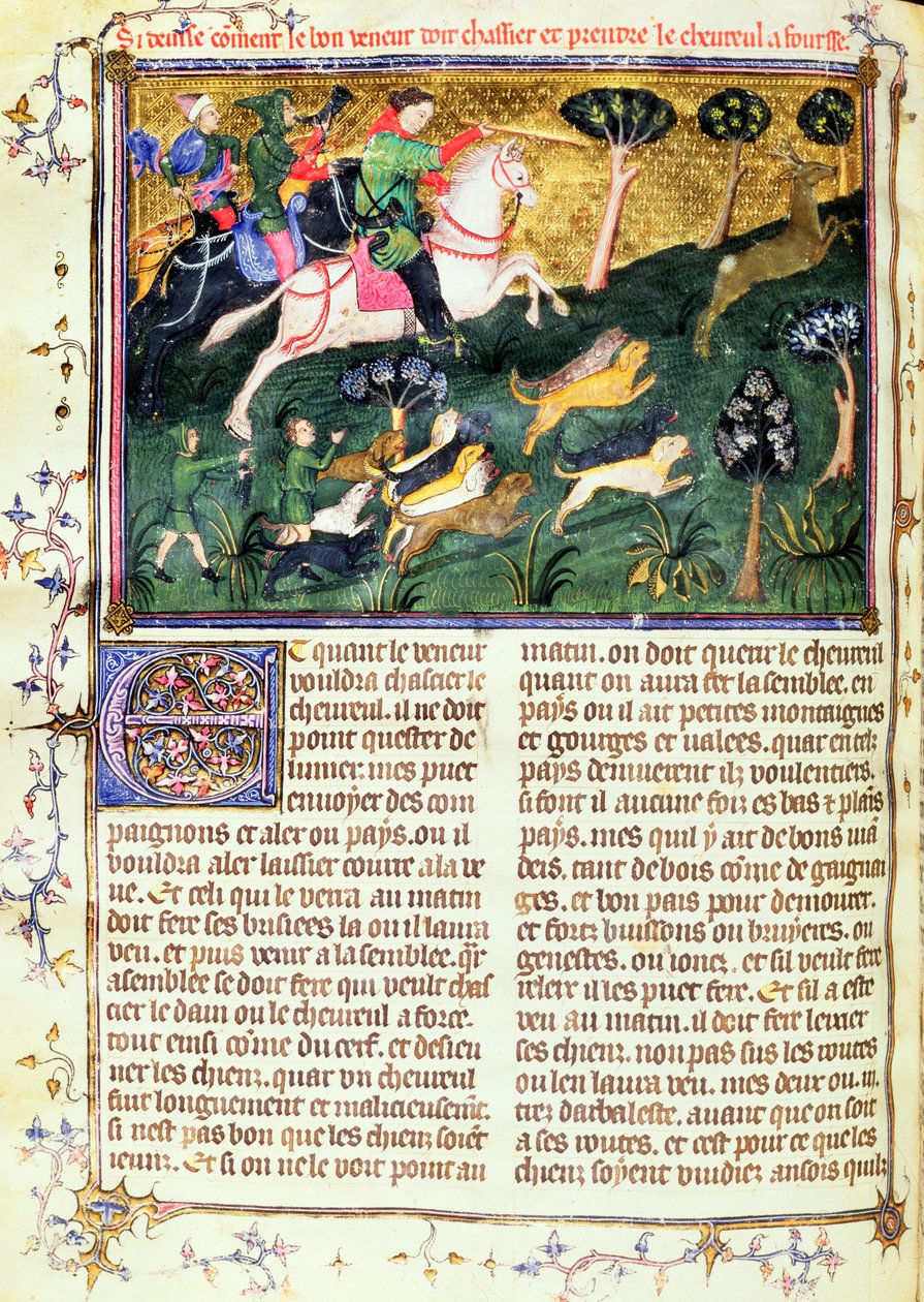 Pursuit of a Roe-buck, de Book of Hunt, texto original escrito por Gaston III, Conde de Foix Phebus, o Caçador (1331-91) Avignon, 1387-89 (guache sobre pergaminho) de French School