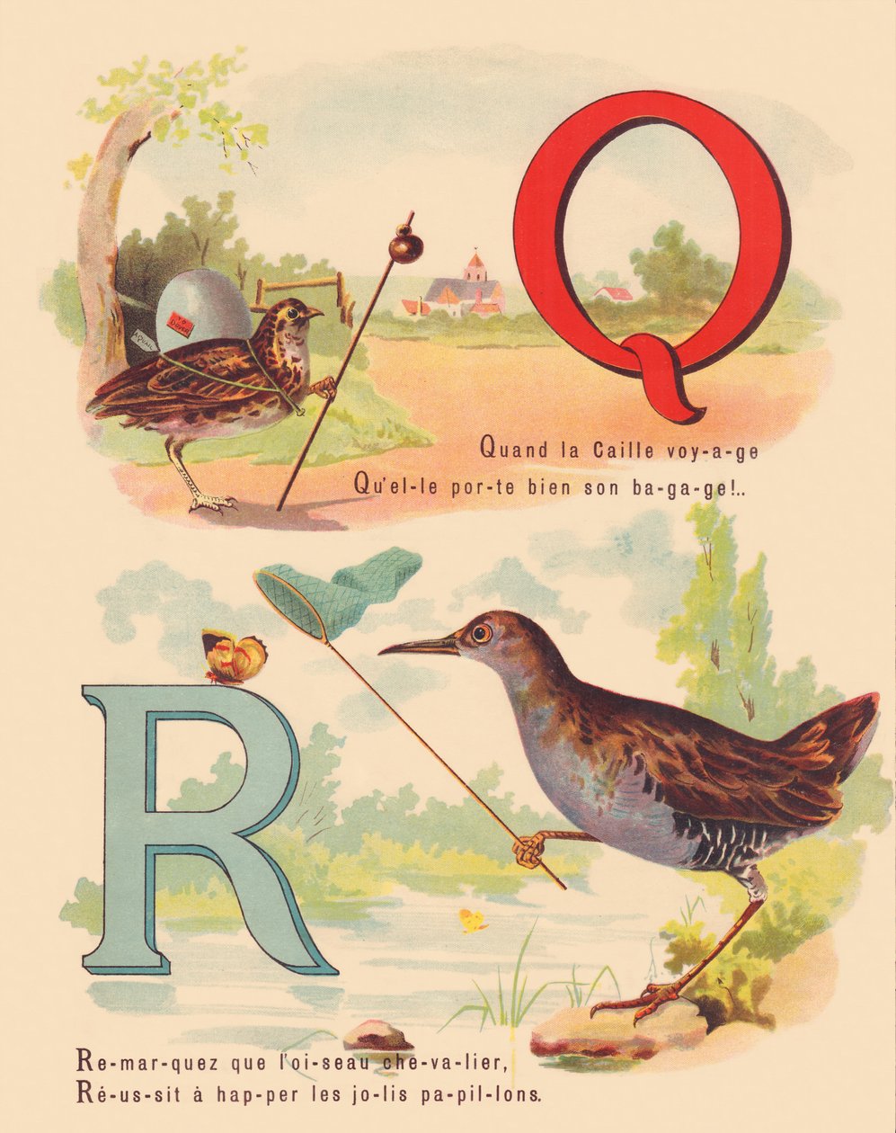 Q: Codorniz, trilho d&39;água de French School