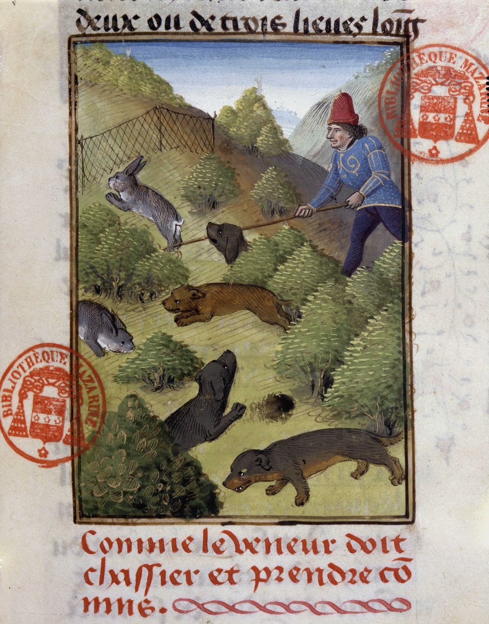Caça ao Coelho - no "Livro de Caça de Gaston Phoebus, Conde de Foix, Senhor de Béarn". de French School
