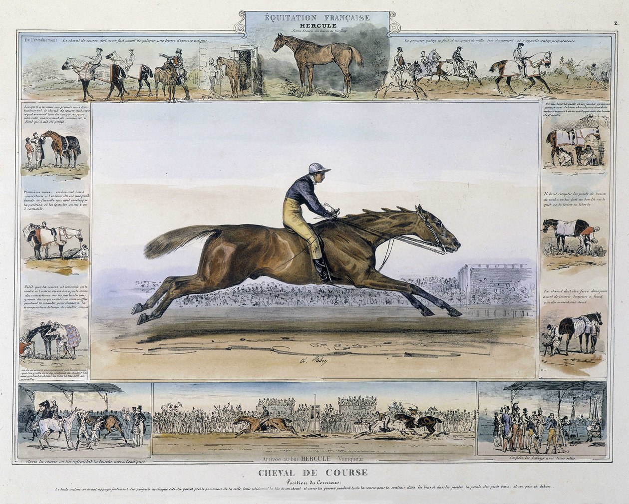 Cavalo de corrida em "Pitoresca história da equitação antiga e moderna" por Charles Aubry de French School