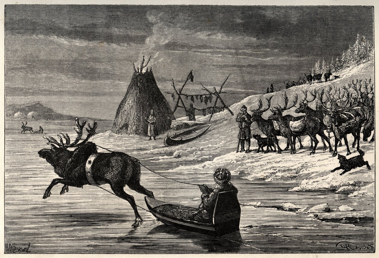 Rebanho de renas na Lapónia - gravura de "The Man and the Bete" de Arthur Mangin - 1872 - de French School