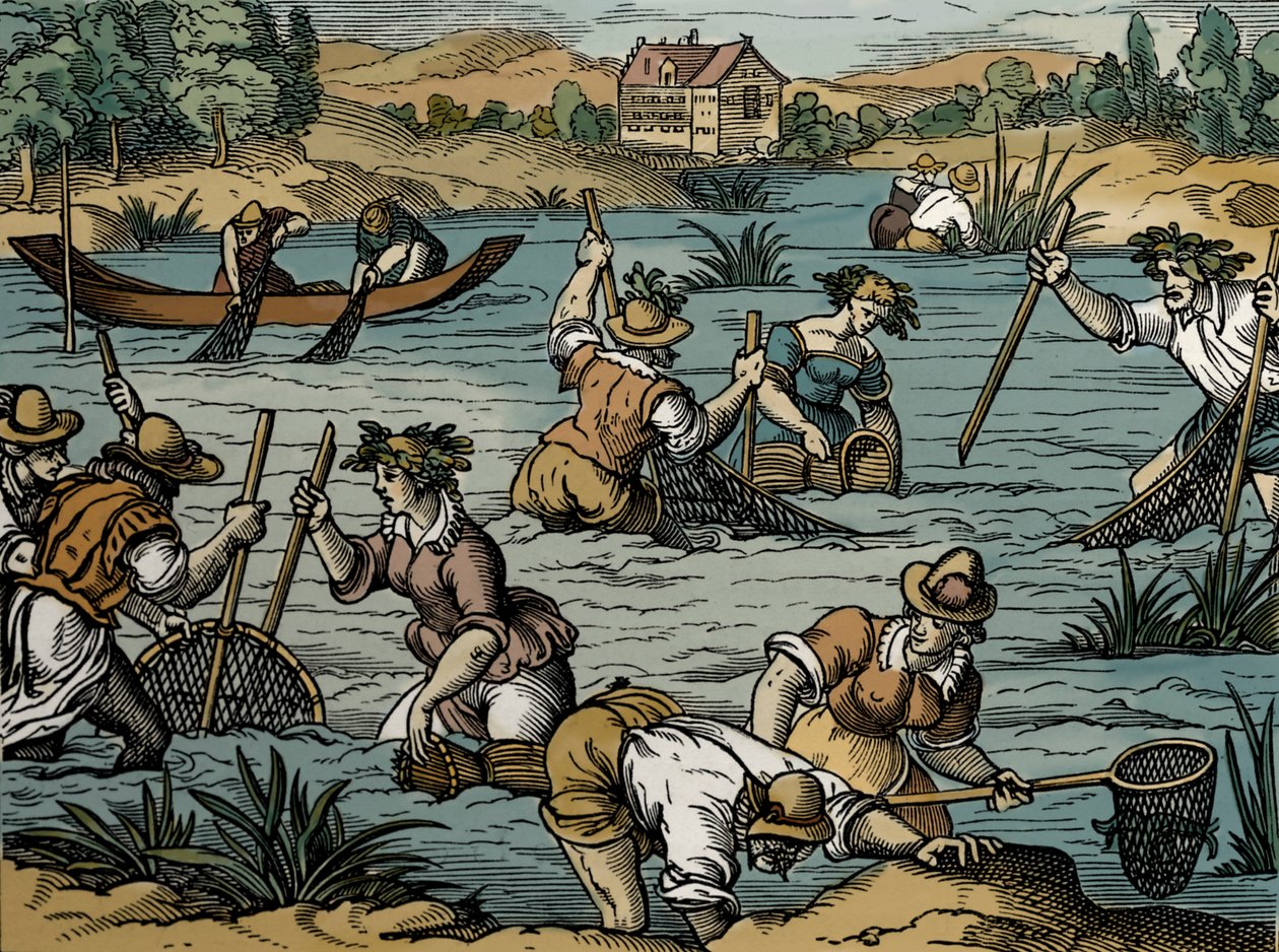 Pesca Fluvial, a partir de 1584 (gravação) de French School