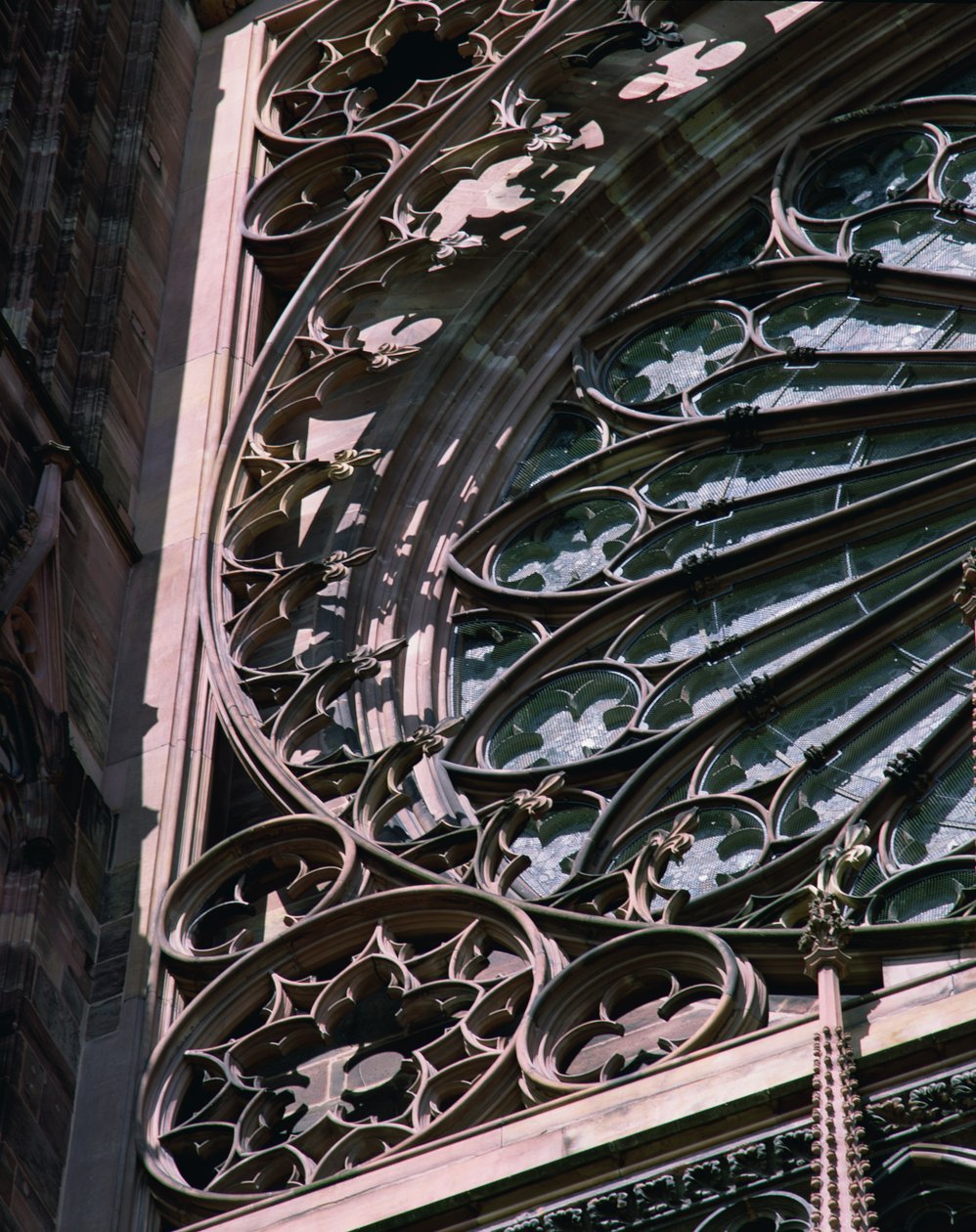 Detalhe da janela rosa de French School
