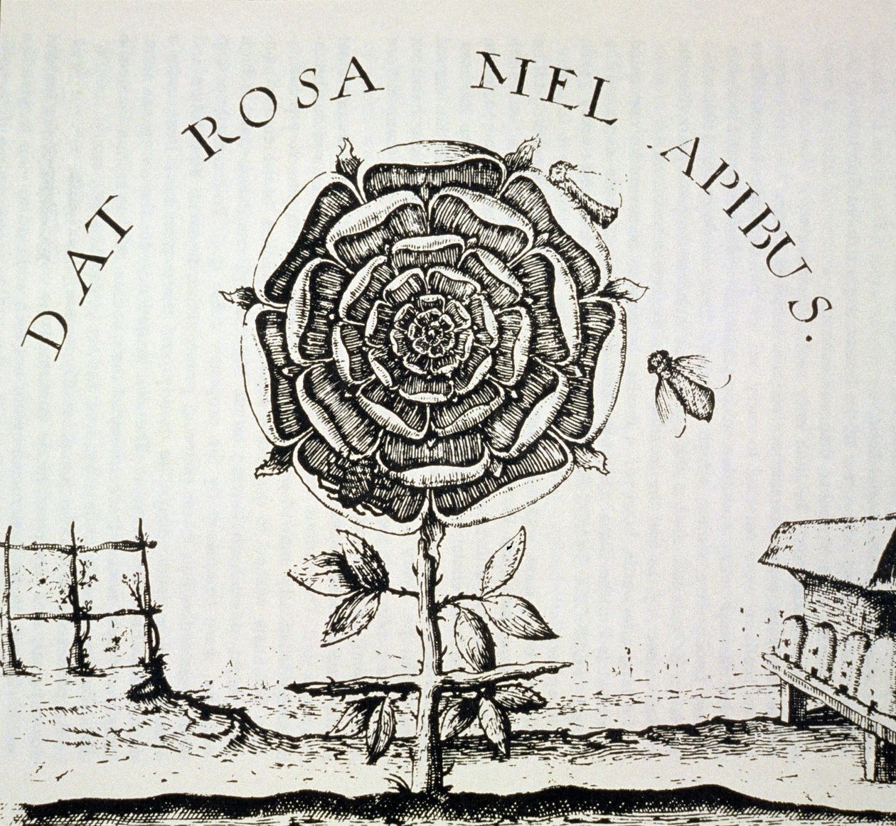 Alegoria Rosacruz, cópia de uma gravura de Johann Theodore de Bry (c.1598), usada em uma História da Magia, publicada no final do século XIX de French School