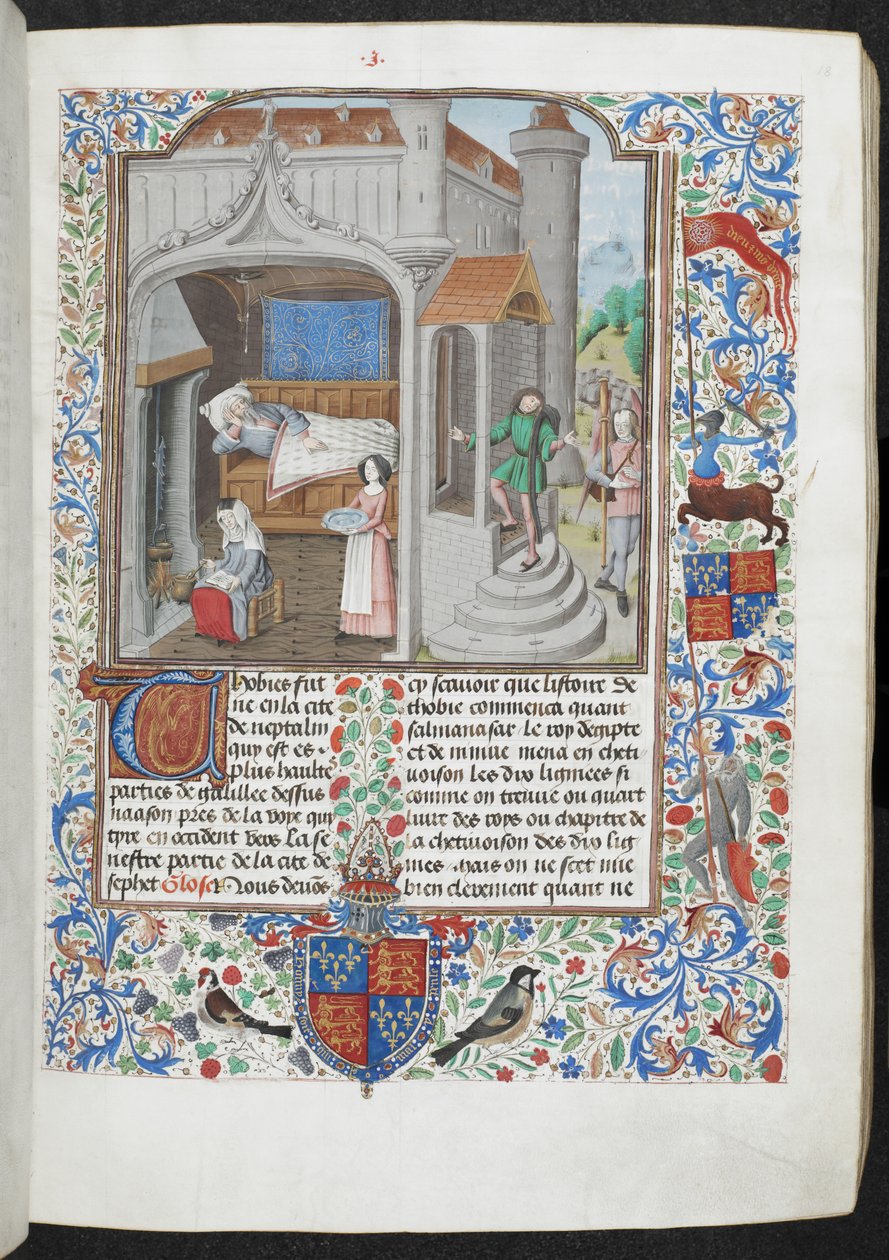 Real MS 15 D I f.18r Mulheres cuidando de um homem doente, 