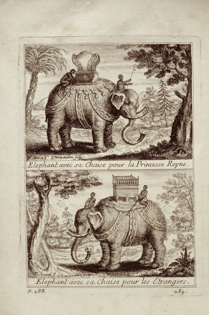 Elefantes reais, de Voyage du Siam des Peres Jesuítas por Guy Tachard, 1688 de French School