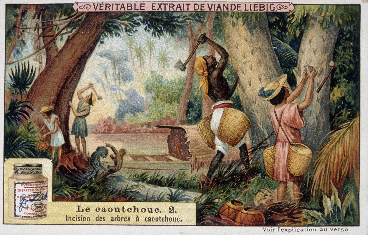 Borracha: incisão dos eixos de borracha - chromo Liébig. de French School