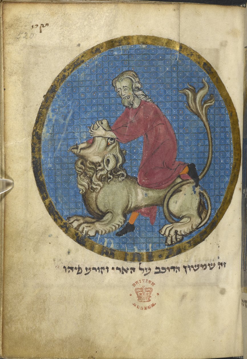 Sansão e o leão, da Miscelânea do Norte da França, c.1280 (vellum) de French School