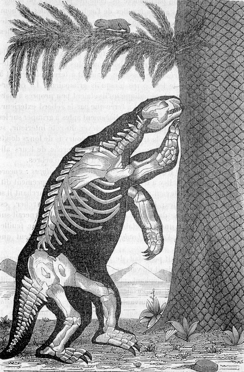 Esqueleto do megatério - em "O mundo antes da criação do homem", de Camille Flammarion de French School