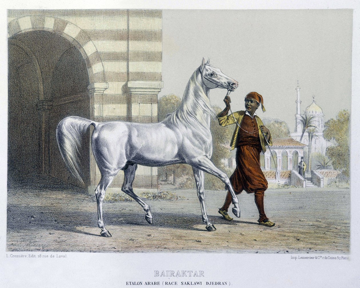 Stalon arabe, Bairaktar de French School