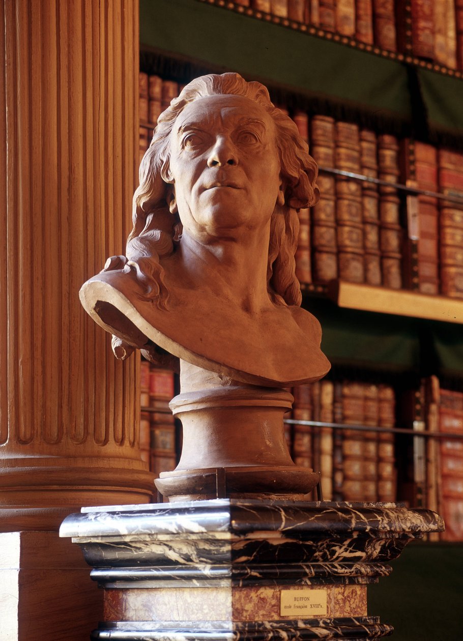 Estátua de Buffon, Biblioteca Mazarine. de French School