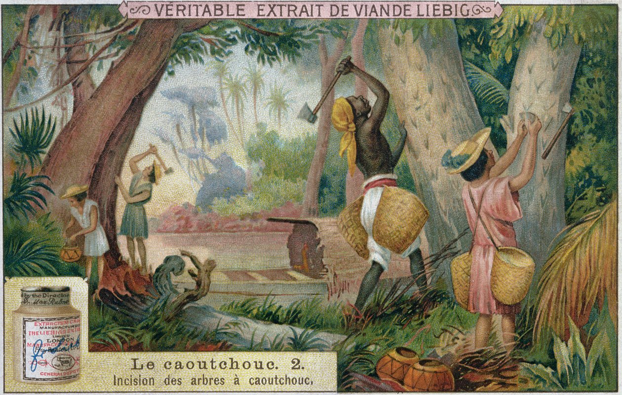 Tapando árvores de borracha, cartão de publicidade promocional para Veritable Extrait de Viande Liebig, final do século 19 de French School