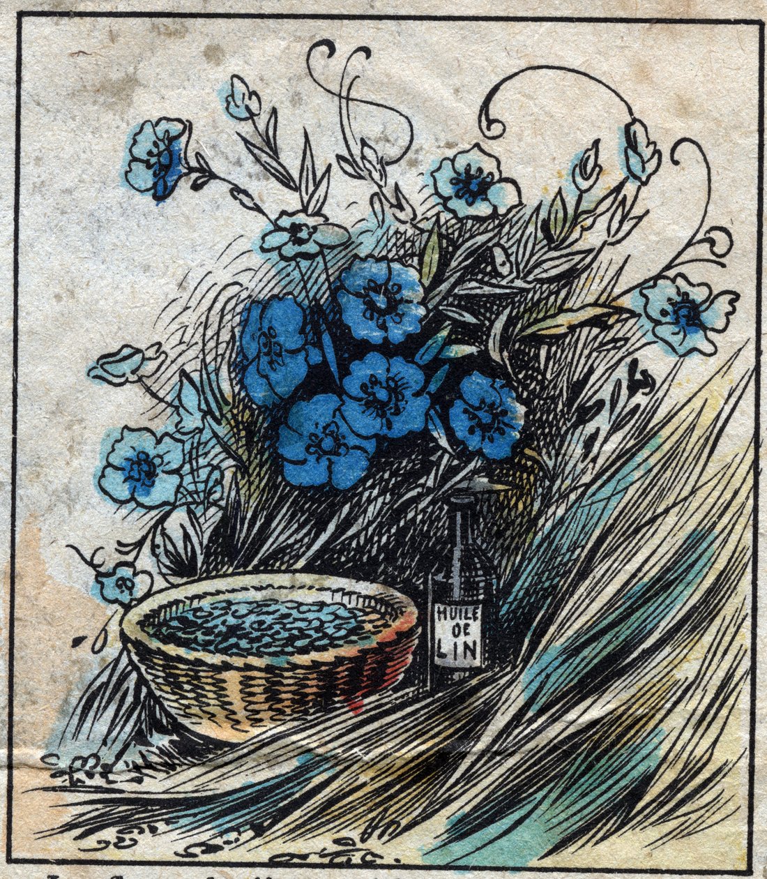 Têxtil, linho. Flor de linho (azul), caule composto de palha e filamentos para fazer fio de linho. Semente usada na medicina e da qual se extrai óleo para a indústria. Gravura. Imagem epinal do final do século XIX. de French School
