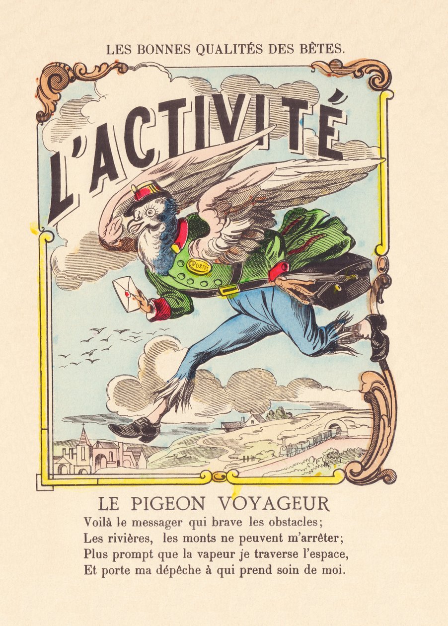 A Atividade. O pombo-passageiro c.1900 (gravura de Epinal) de French School