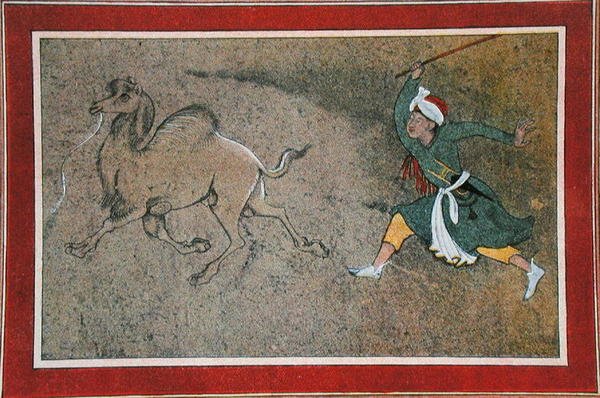 O Condutor de Camelos Furioso, ilustração de 