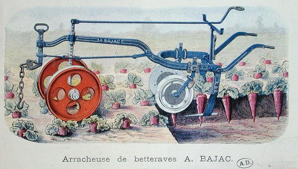A Máquina Bajac para levantar beterrabas, c.1900 (gravação a cores) de French School