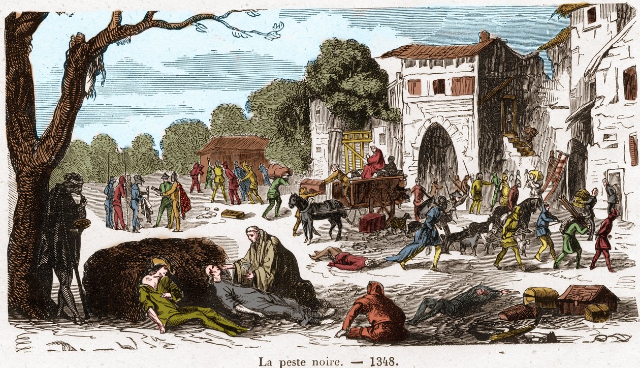 A Peste Negra em 1348. Gravura em "Histoire De France En Cent Paintings by Paul Lehugeur "1891. de French School