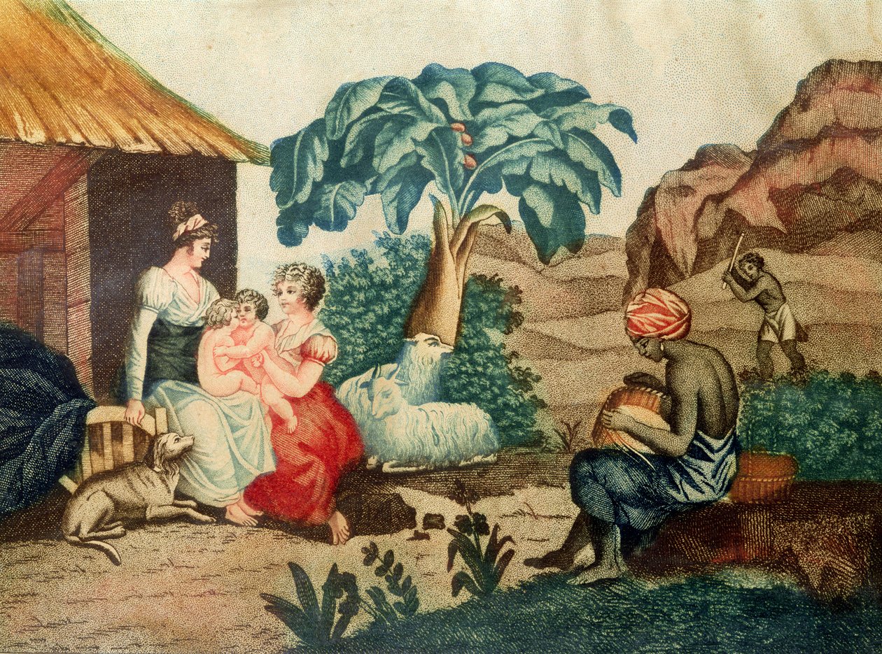 A Infância de Paul e Virginie, de &39;Paul et Virginie&39; de Henri Bernardin de Saint-Pierre (1737-1814) de French School