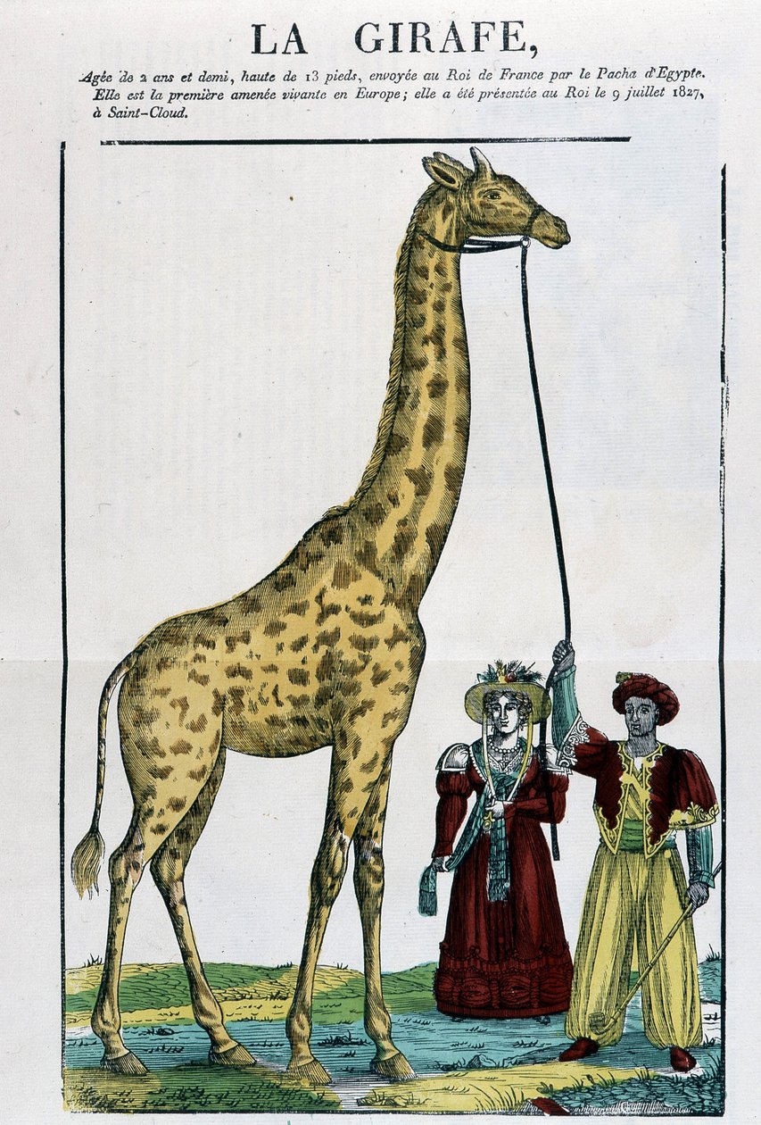 A Girafa - Imagem da Epinal de French School