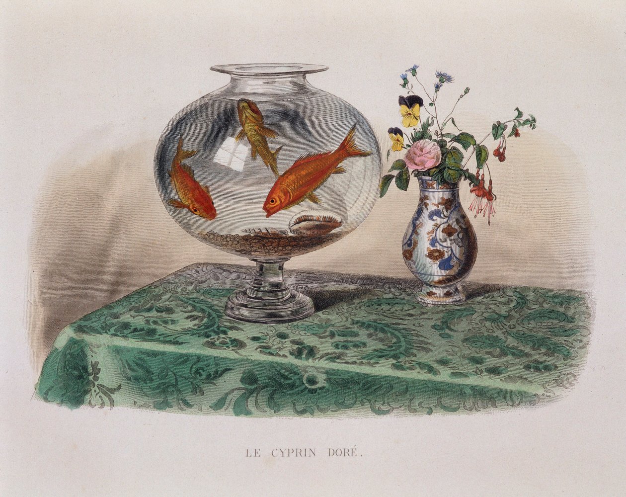 O Peixe-dourado (peixe dourado no seu frasco) - em "Lacepede". de French School