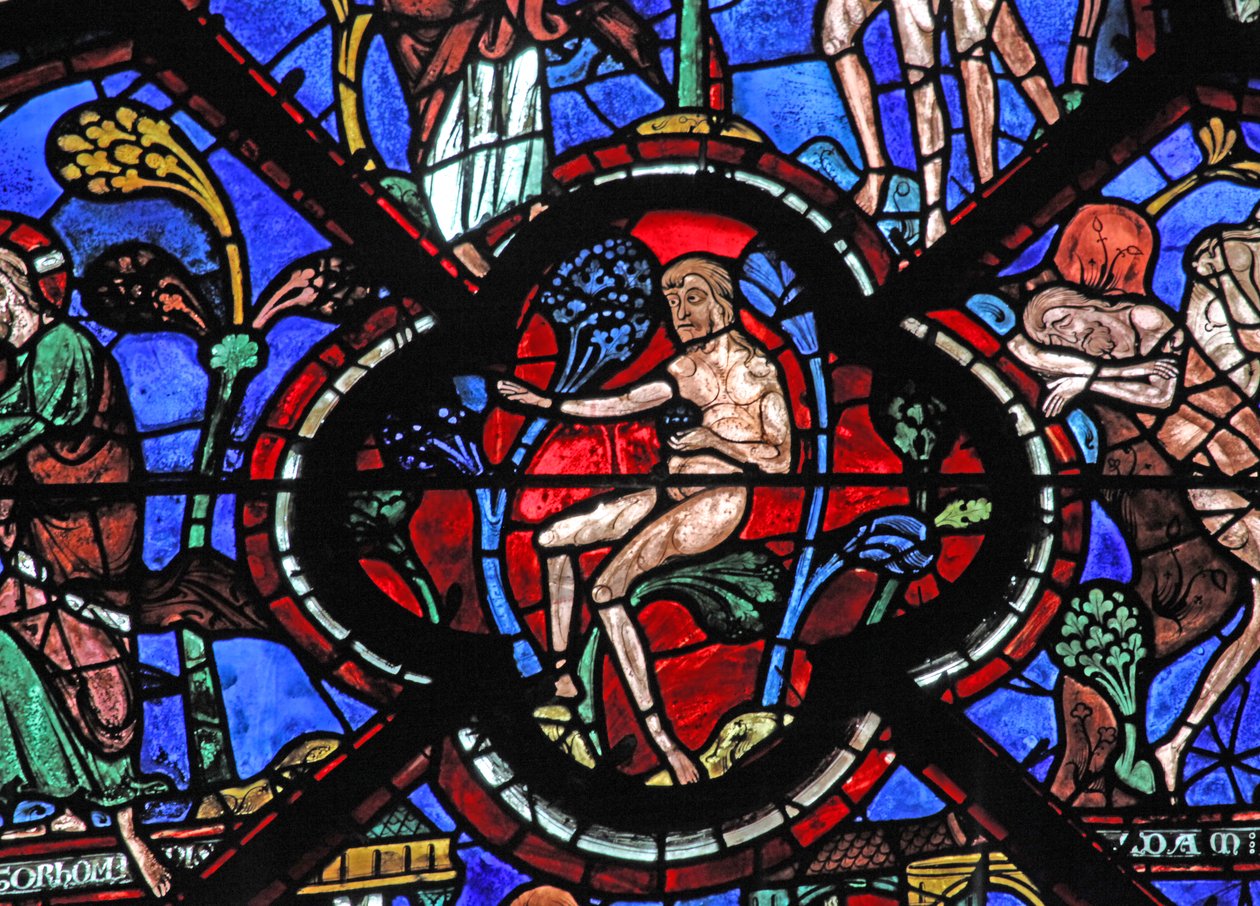 A janela do Bom Samaritano: Adão no Jardim do Éden (w44) de French School