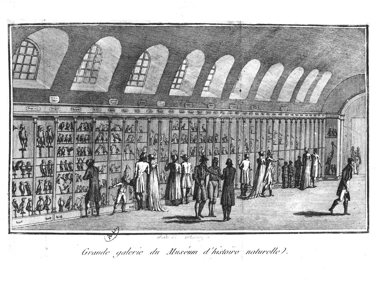 A Grande Galeria do Museu de História Natural de Paris de French School