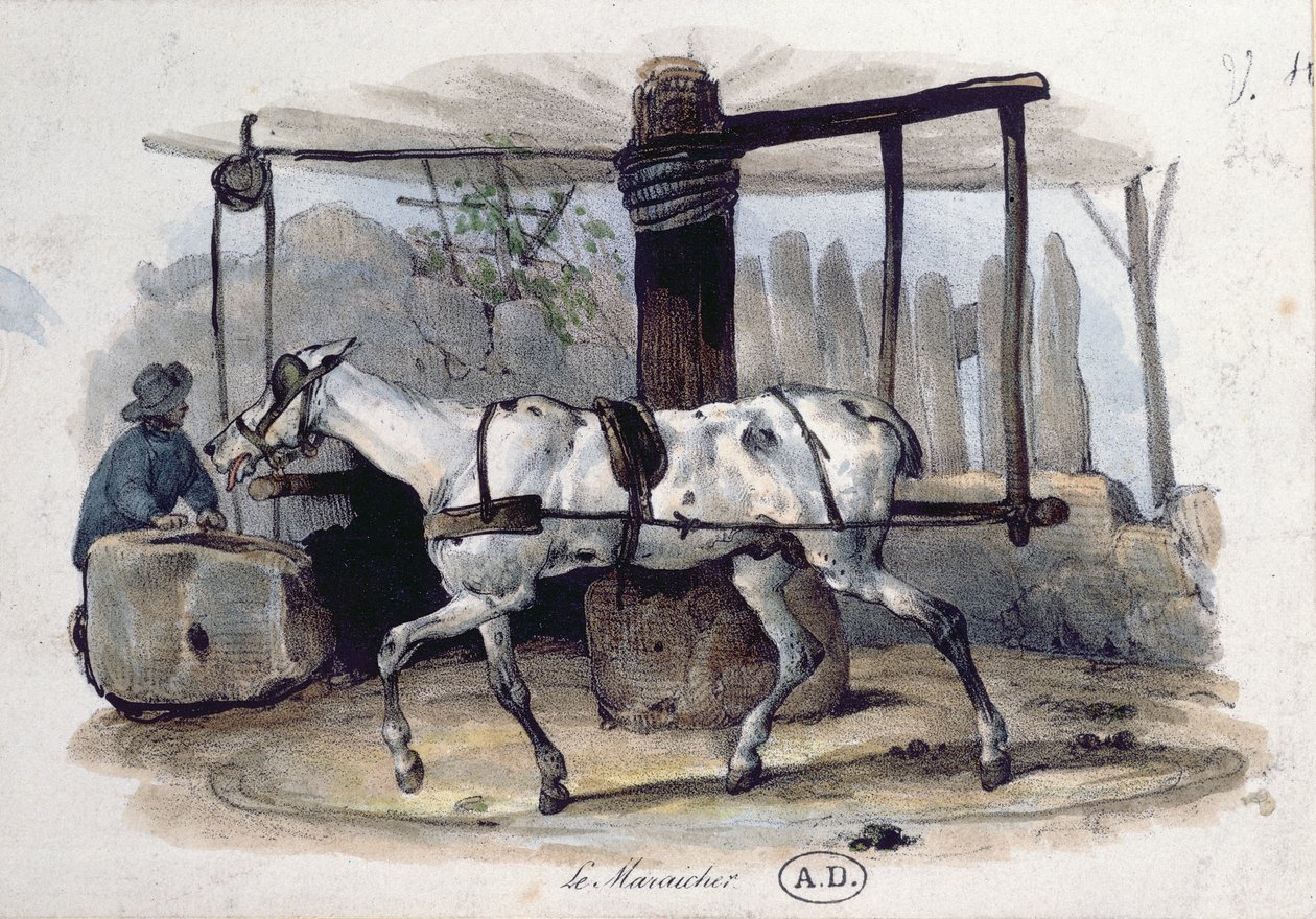 O jardineiro do mercado, 1840 de French School