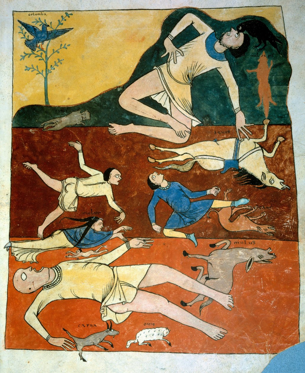 O Dilúvio Universal Miniatura retirado dos comentários de "O Apocalipse segundo São João" escrito em 775 pelo monge Beato de Liebana de French School