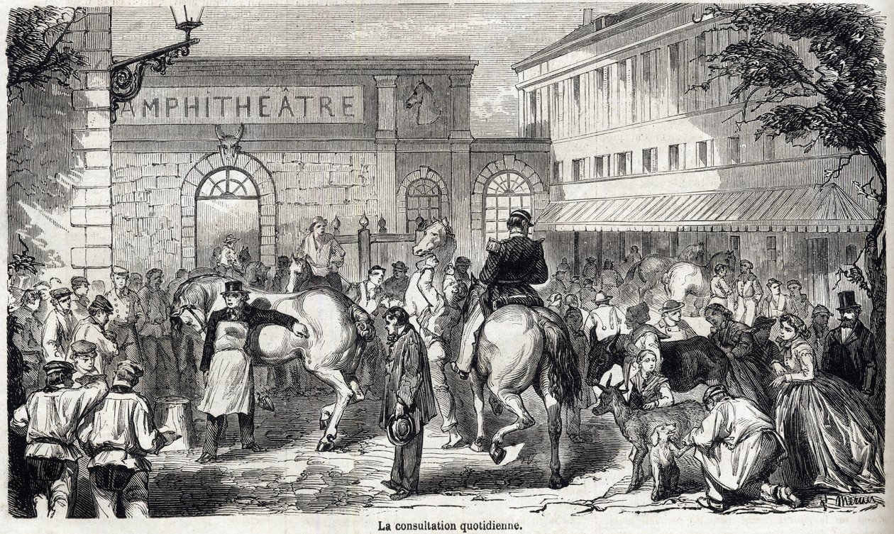 A Escola Nacional de Veterinária de Alfort - Les grandes écoles de france - école veterinaire de maison alfort en 1866 - La consultation quotidienne - Engraving in "Le monde illustrious" of 1866 de French School