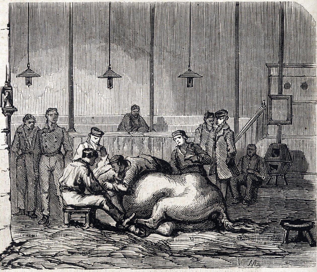 A Escola Nacional de Veterinária de Alfort - Les grandes écoles de france - école veterinaire de maison alfort en 1866 - la salle de dissection - Engraving in "Le monde illustrious" of 1866 de French School
