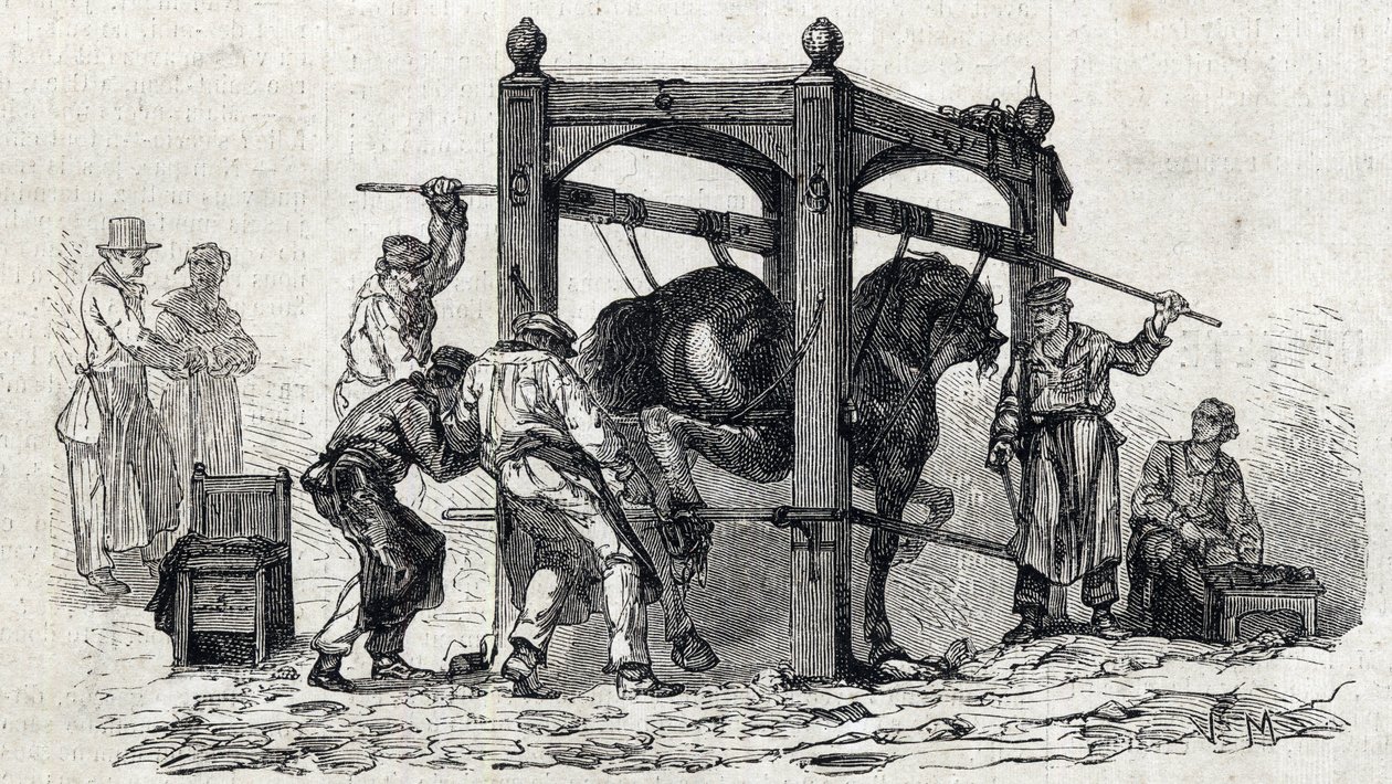 A Escola Nacional de Veterinária de Alfort - Les grandes écoles de france - école veterinaire de maison alfort en 1866 - le ferrage des chevaux retifs - Engraving in "Le monde illustrious" of 1866 de French School