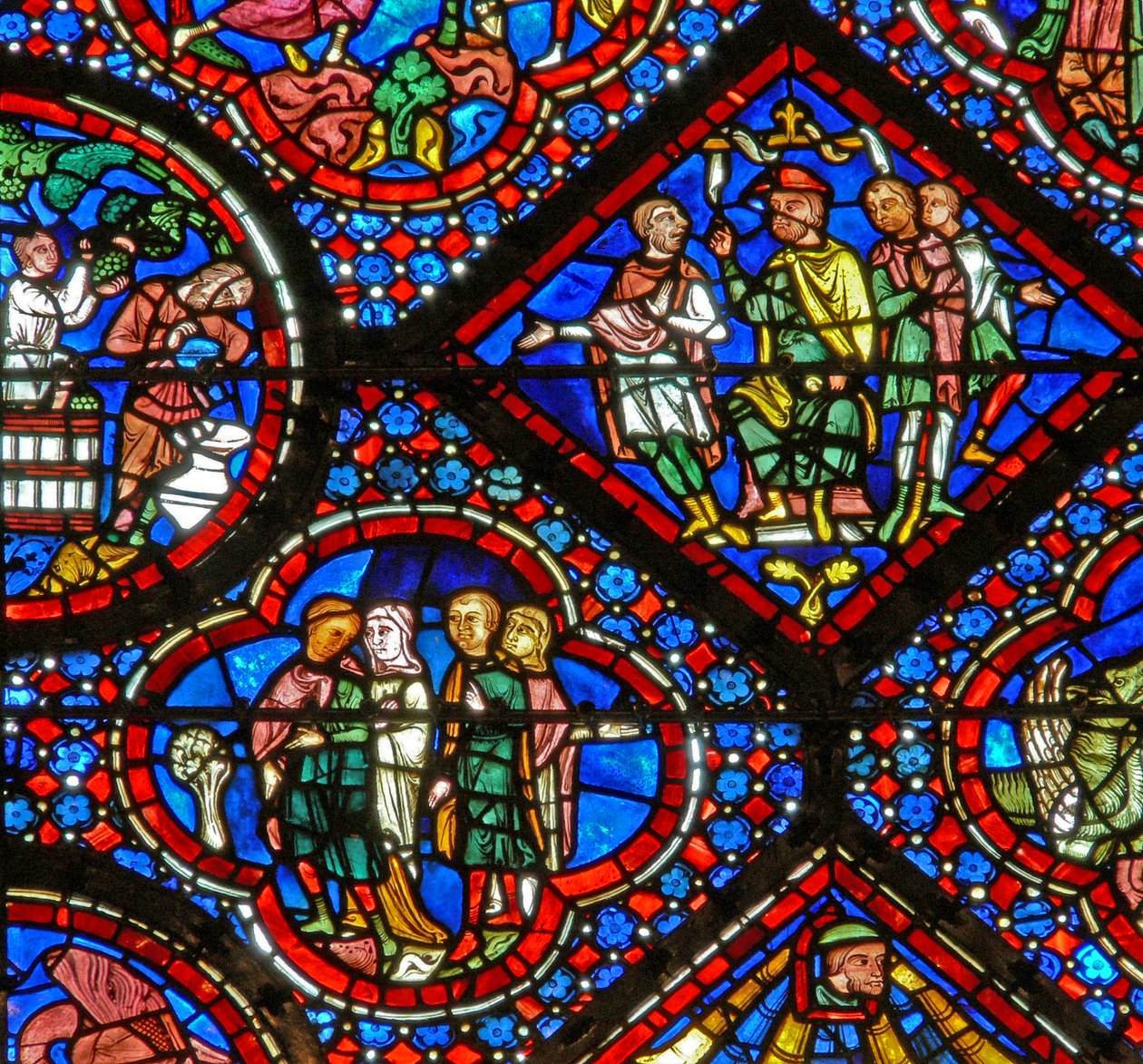 A janela de Noé: a descoberta da videira (w47) de French School