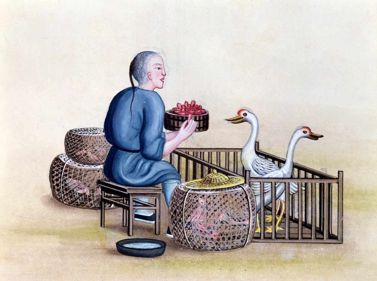 The Poultry Merchant, de um livro sobre as chamadas de rua de Pequim, c.1785 (wc e guache sobre papel) de French School