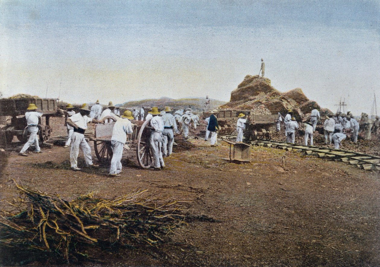 Os prisioneiros no trabalho na colônia penal de Noumea, na Nova Caledônia, gravada por Gillot, c.1900 de French School