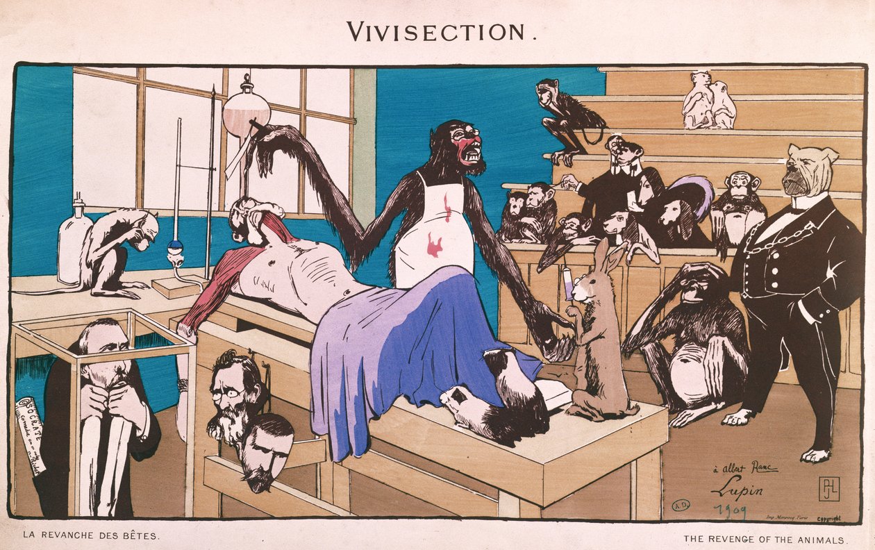A vingança dos animais, caricatura da vivissecção, 1909 de French School